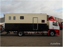 Volvo FM 9.310 + Euro 5 + Manual + Horse transport