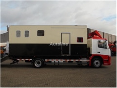 Volvo FM 9.310 + Euro 5 + Manual + Horse transport