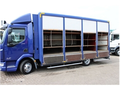 DAF LF 230 + EURO 6