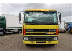 DAF CF 250 + EURO 2 + MANUAL