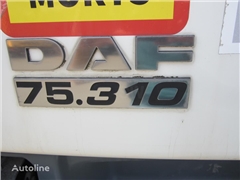 DAF CF75 310