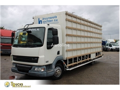 DAF LF 45.180 + MANUAL