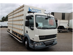 DAF LF 45.180 + MANUAL