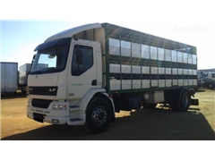 DAF LF55 250