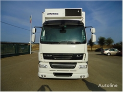 DAF LF 55 300