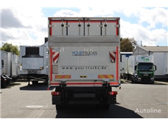 DAF LF 250 E6 /Carrier Supra/Strom/Tür + LBW/Strom