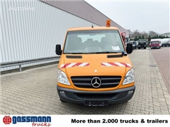 Mercedes Sprinter 313 CDI 4x2 Doka, EEV