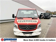 Mercedes Sprinter 516 CDI 4x2, Bi-Xenon