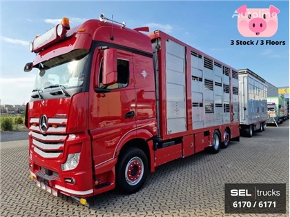 Mercedes Actros Ciężarówka do przewozu bydła Mercedes-Benz Actros Rückfahrkamera / Durchladezug / 3 Stock / Lenkachse / Lif