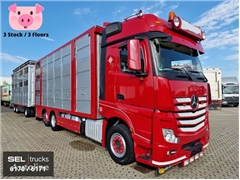 Mercedes Actros Ciężarówka do przewozu bydła Mercedes-Benz Actros Rückfahrkamera / Durchladezug / 3 Stock / Lenkachse / Lif