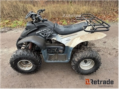 Sprzedam quad Dinli 100cc T-Rex poprzez aukcję