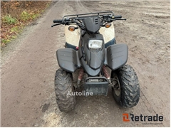 Sprzedam quad Dinli 100cc T-Rex poprzez aukcję