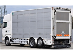 SCANIA R 500 Bydlarka / Do Przewozu Żywca 7,10m