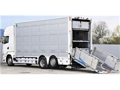 SCANIA R 500 Bydlarka / Do Przewozu Żywca 7,10m