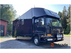 Mercedes Atego Sprzedam ciężarówkę do przewozu koni Mercedes-Benz Atego 815 poprzez aukcję