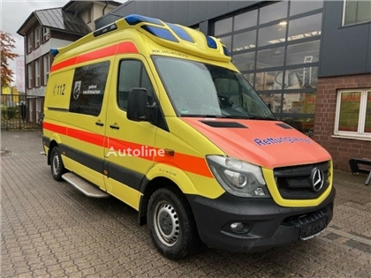 Ambulans Mercedes-Benz Sprinter 319 CDI RTW Delfis