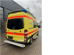 Ambulans Mercedes-Benz Sprinter 319 CDI RTW Delfis