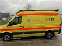 Ambulans Mercedes-Benz Sprinter 319 CDI RTW Delfis