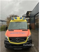 Ambulans Mercedes-Benz Sprinter 319 CDI RTW Delfis