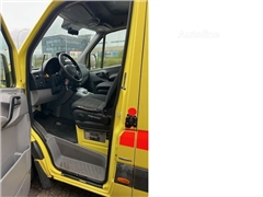 Ambulans Mercedes-Benz Sprinter 319 CDI RTW Delfis