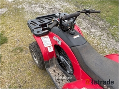 Sprzedam quad E-ton Challenger clx-150 poprzez auk