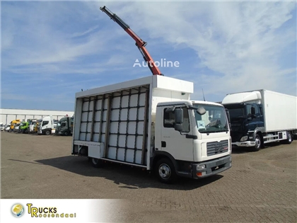 MAN TGL 8.180 + PALFINGER + GLASS TRUCK + MANUAL