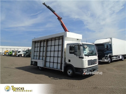 MAN TGL 8.180 + PALFINGER + GLASS TRUCK + MANUAL