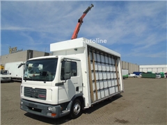 MAN TGL 8.180 + PALFINGER + GLASS TRUCK + MANUAL