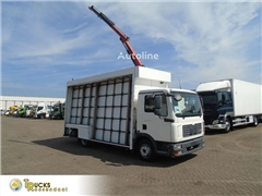 MAN TGL 8.180 + PALFINGER + GLASS TRUCK + MANUAL