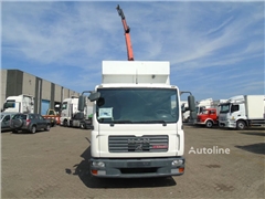 MAN TGL 8.180 + PALFINGER + GLASS TRUCK + MANUAL