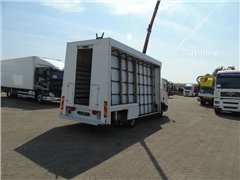 MAN TGL 8.180 + PALFINGER + GLASS TRUCK + MANUAL
