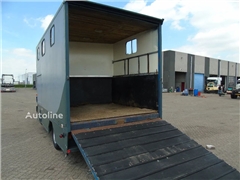 MAN 10 .150 + 2-3 HORSES + MANUAL