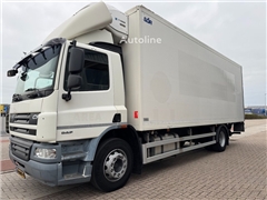 DAF CF65-300 Thermo-King (- 25 C ) D Hollandia Tailli