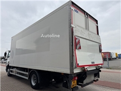 DAF CF65-300 Thermo-King (- 25 C ) D Hollandia Tailli