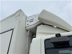 DAF CF65-300 Thermo-King (- 25 C ) D Hollandia Tailli
